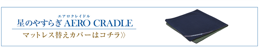 替えカバーはコチラ