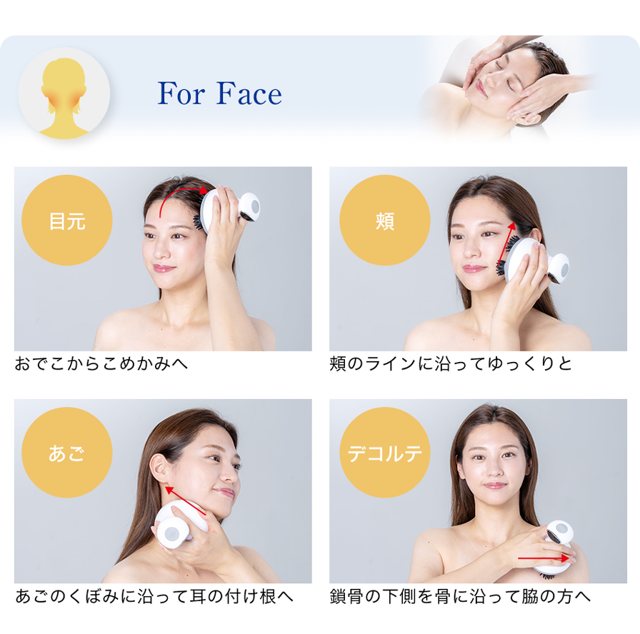 利用例／顔