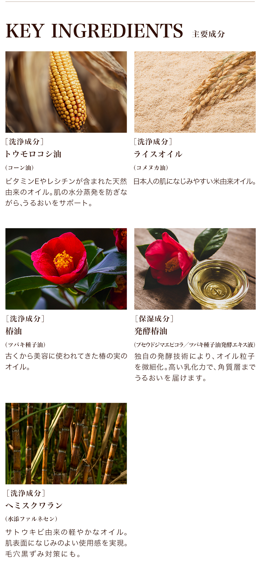 主要成分