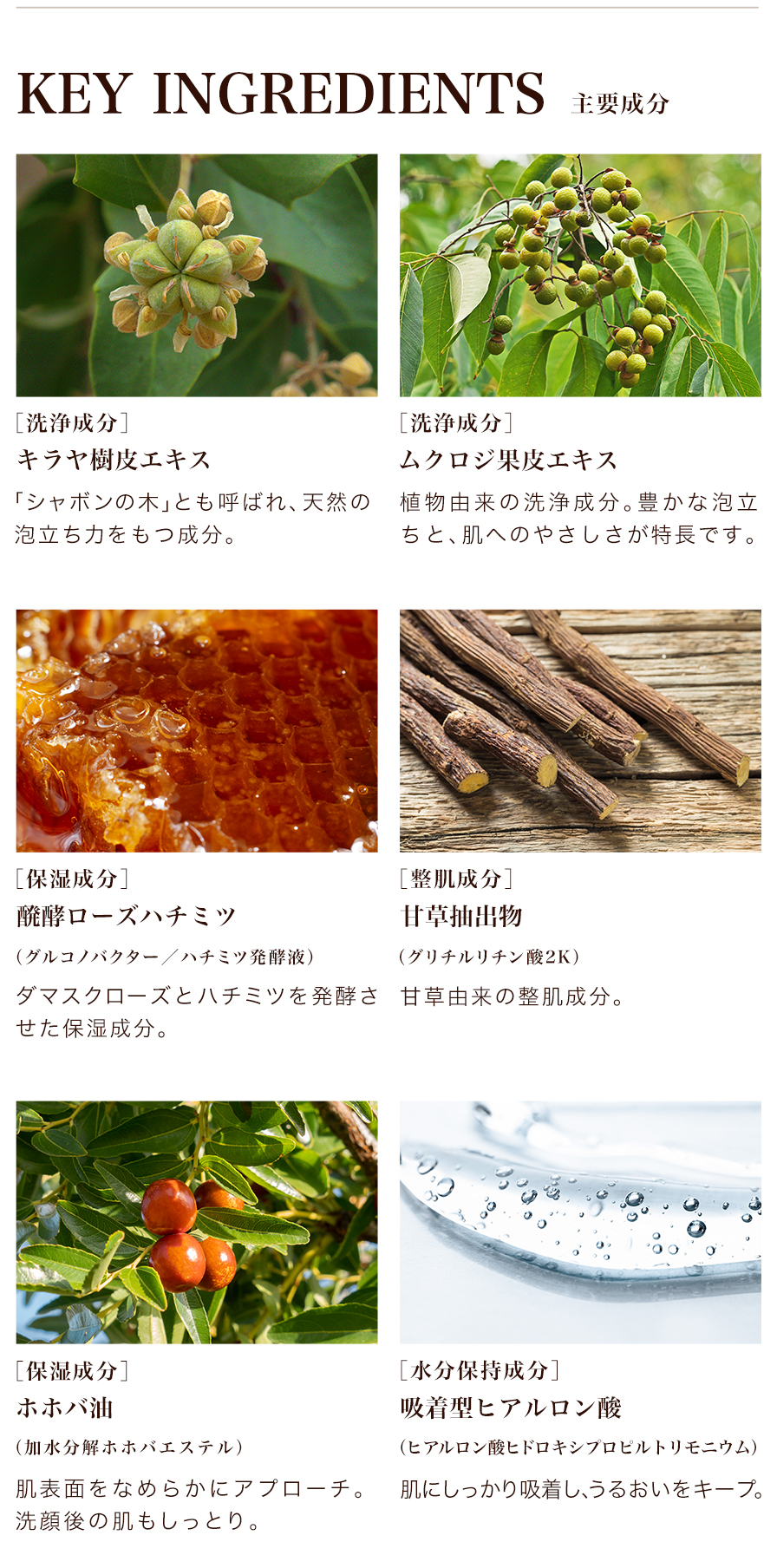 主要成分