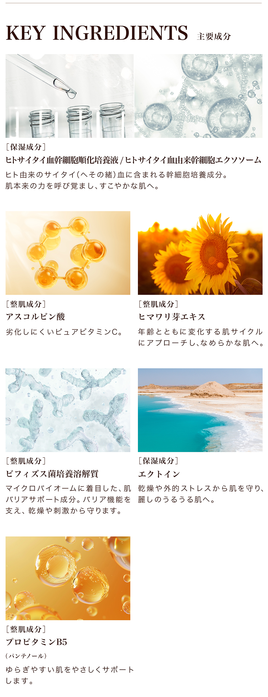 主要成分