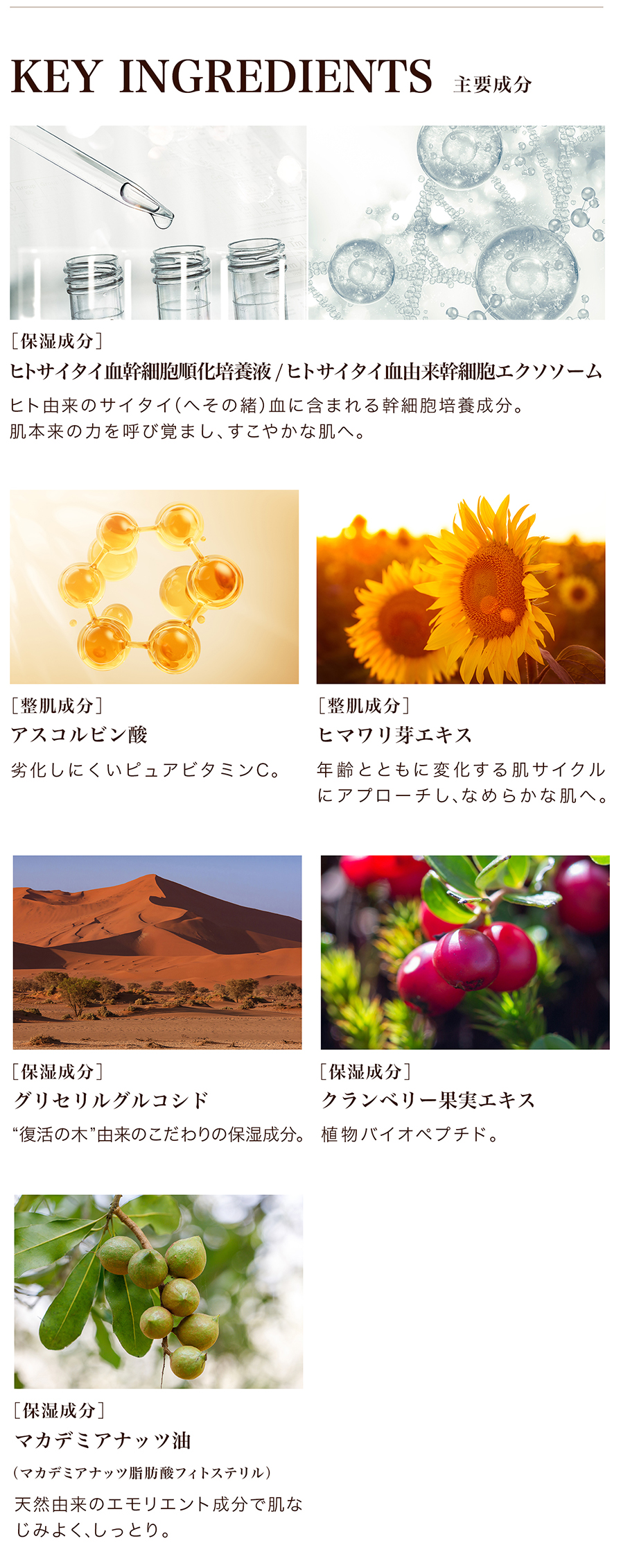 主要成分